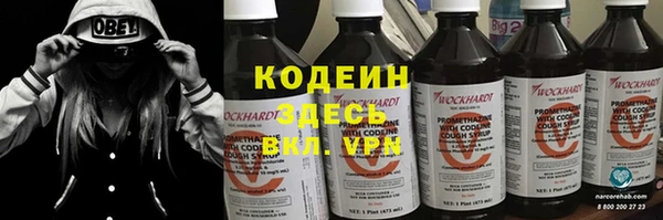 крисы Бугульма