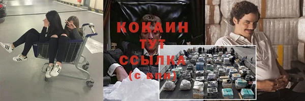 spice Бородино
