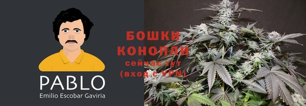 spice Бородино