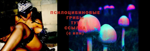 spice Бородино