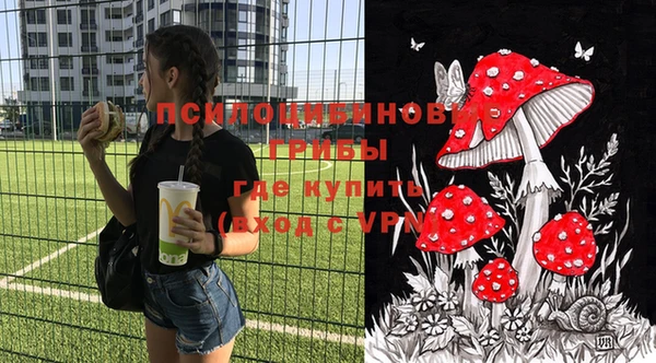 spice Бородино