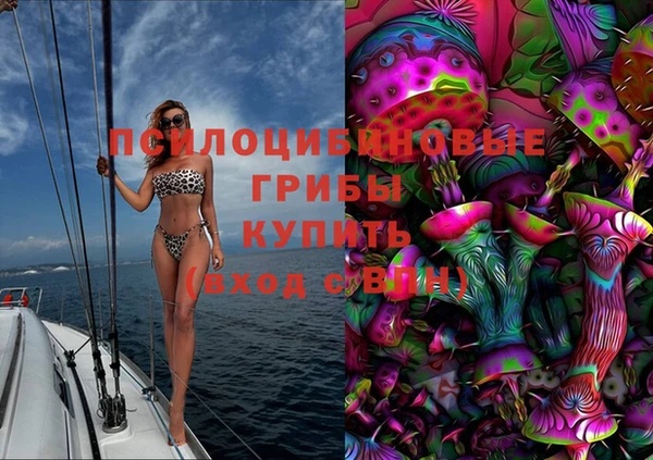 spice Бородино